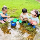 새나래유치원 이미지