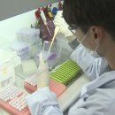 돼지의품격 이미지