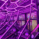 핑키펑키 광안점 이미지