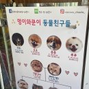 멍이와 쿤이 이미지