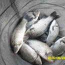 고초골낚시터 이미지