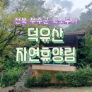 전북 무주군 여행. 국립덕유산 자연휴양림 주목나무 숙소 후기