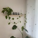 위림사슴목장 | [충북 제천]제천여행::집다운집,제천감성숙소(에어비앤비), 쁘띠샹들리에-날씨는 춥지만, 너희와 함께...