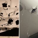 (주)공푸드 이미지