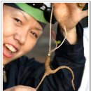 밥풀떼기 이미지