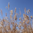 하루산책 이미지