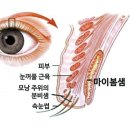 푸르프