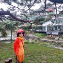 삼미초등학교 이미지