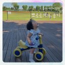 크리스피크림공주 | 용산어린이정원 뽀로로기차 후기 주말 오후 현실 동선