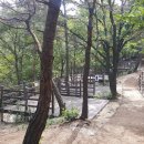 영인산자연휴양림 숲속야영장 이미지