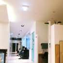 도도스이비인후과의원 | 배곧 이비인후과 도도스 이비인후과 야간진료 7시까지만