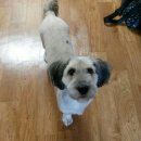 곡란초교 이미지