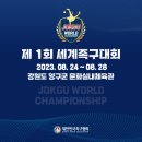 실내체육관 보조경기장 네이버블로그