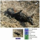 D00104 네이버블로그