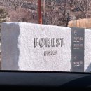 씨유 퍼시픽호텔점 | 설 명절에 포레스트 리솜 리조트 다녀온 후기