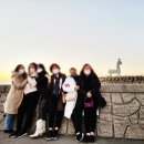 제주기사 이미지