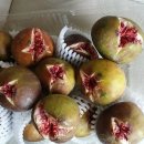 봉래농장 이미지