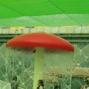 가로공원 공중화장실 | 도림천 물놀이장 다녀온 후기^^