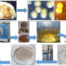 Re: 박테리아 생산 EPS(동형, 이형 다당류)에 대하여 2023년 이미지