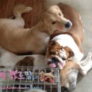 옹기종기 이미지