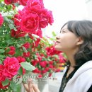 도원치안센터 이미지