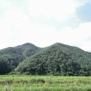 향기민박 이미지