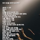 자기 자신을 완전히 용서하라. 이미지