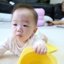 파파스낵 이미지