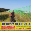 삼호태양광발전소 이미지