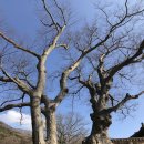 우일여관 | 해남 두륜산 산행