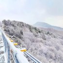 별자리 조형물(12 이미지