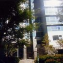 서초중앙로 14 이미지