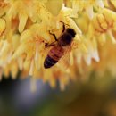 대광섬유 이미지