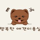 도그에이드애견샵 이미지