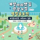 아라관광 네이버블로그