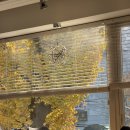 과천성당 건너편 버스정류장 | W1-1. 웨딩홀 상담 후기 | 방배 오드힐하우스 (계약O)