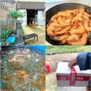 평산1로 | 기장 새우포장 맛집 평산수산 후기｜1kg 포장해서 집에서 소금구이로 먹었어요!