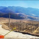 부용쉼터 이미지