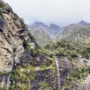 지-트랙 이미지