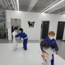 Dream of Judo 세종유도관 보람점 이미지