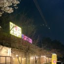 [고양] 일산 레전드 소곱창 내돈내산 &#39;백마야장소곱창&#39;