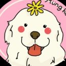 멍펜션13 이미지