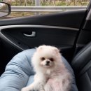 포벤져스