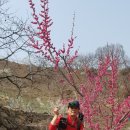 좋은아침 이미지