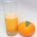 김영순농장 | 새콤달콤 과즙팡팡~제주 레드향 직거래-에코감귤 교육농장