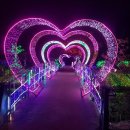 태안나비 이미지