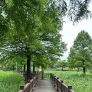 함지박손칼국수 | 의왕 가볼만한곳 함지박손칼국수, 왕송호수공원 산책