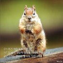 도토리 이미지