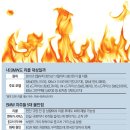 비엠더블유(B.M.W) 이미지