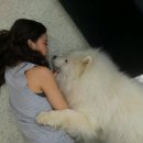 다 보이는 세상 이미지